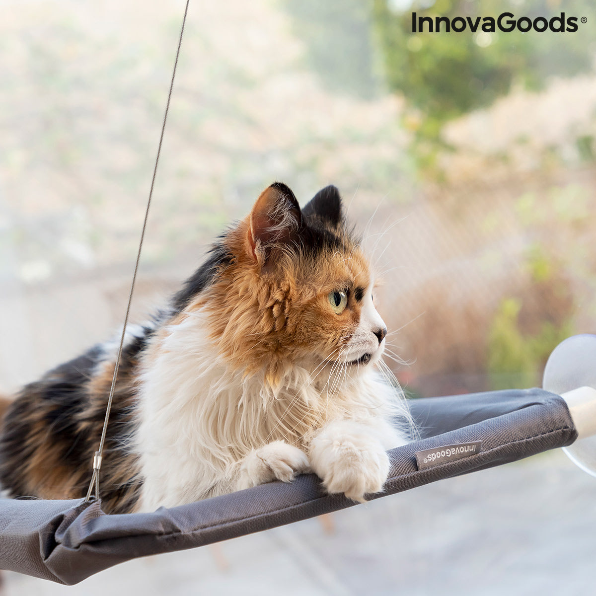 Hamaca de ventana para gatos Catlax