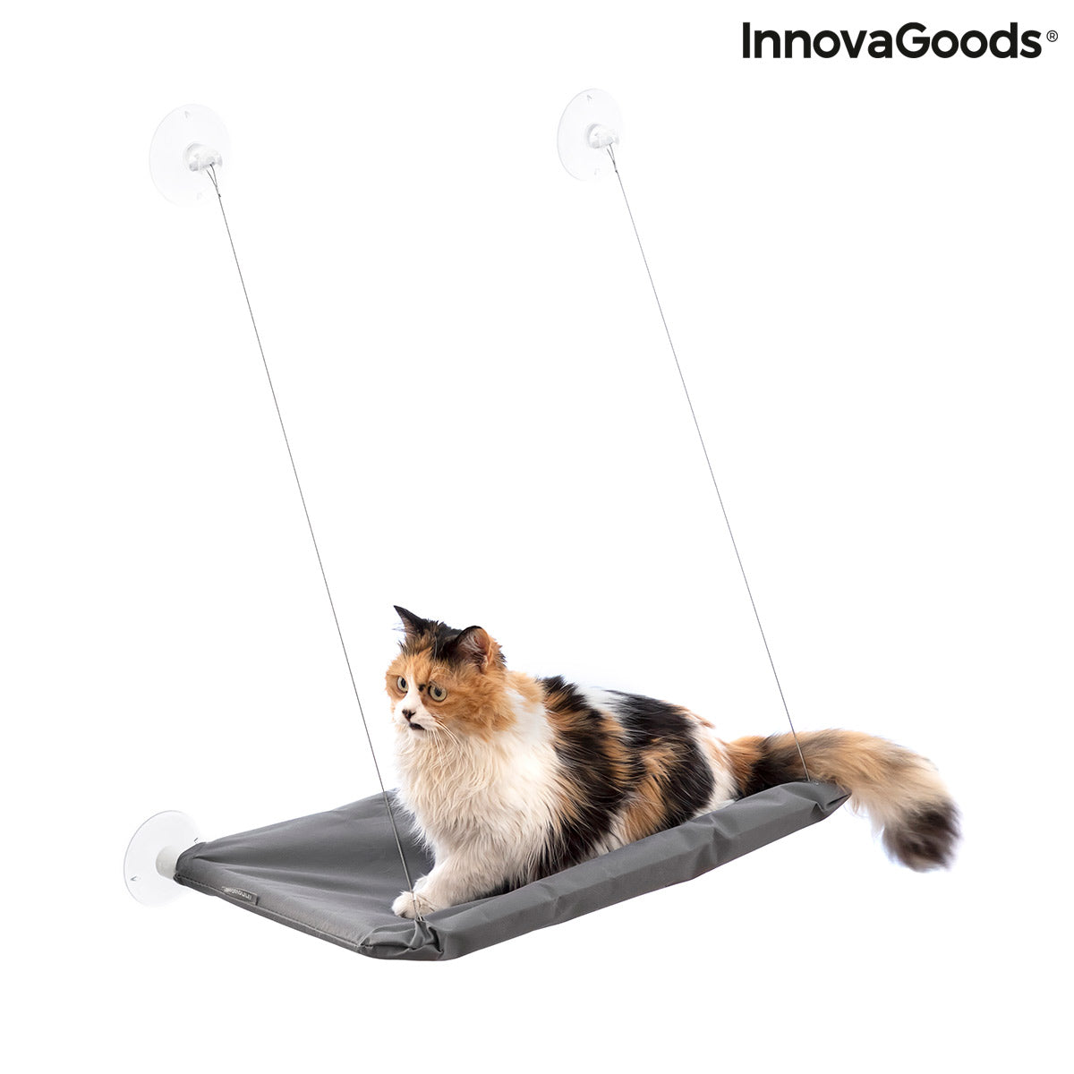 Hamaca de ventana para gatos Catlax