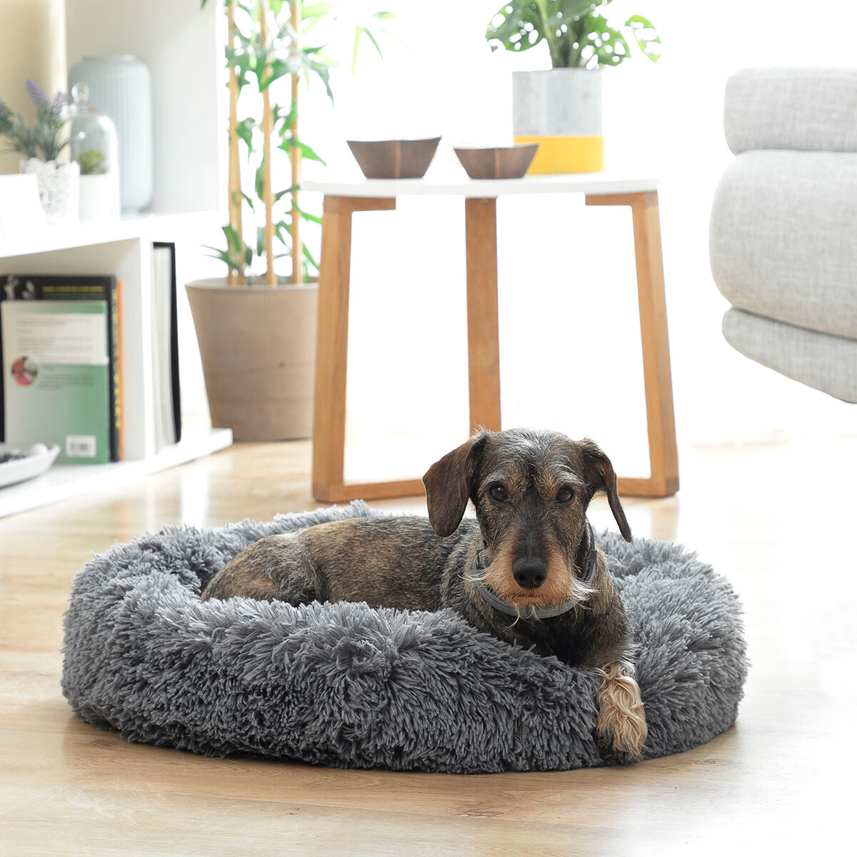 Cama antiestrés Bepess (Ø 60 cm)