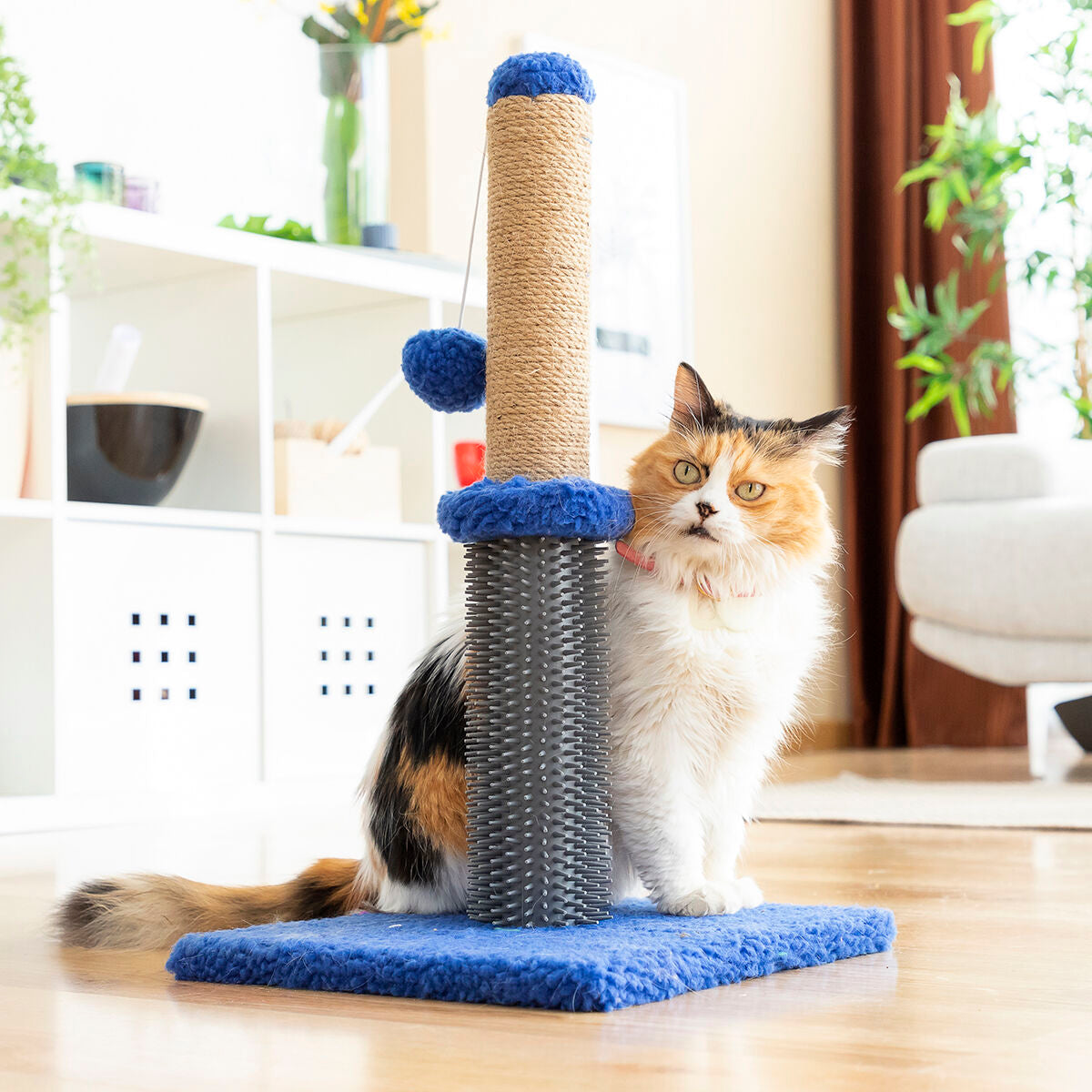 Rascador y poste de masaje Miausage